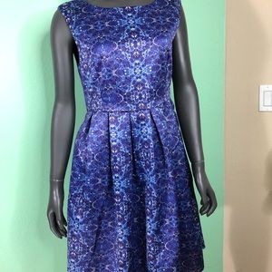 Dear Creatures Dress Brand New Medium